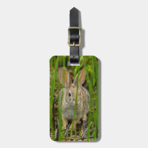 Étiquette À Bagage Lapin Cottontail du désert