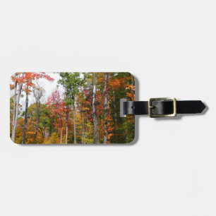 Étiquette À Bagage L'automne dans la forêt Photographie d'automne col