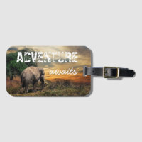"L'Aventure Attend" Éléphant Thaïlande
