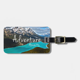 Étiquette À Bagage L'aventure attend la photographie