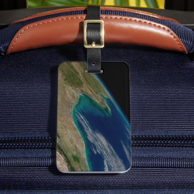 Étiquette À Bagage Le Nord Du Golfe Du Mexique. (Insitu Rectoal 2)