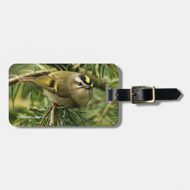 Étiquette À Bagage Le petit petit Kinglet mignon provoque un remue-mé (Devant horizontal)