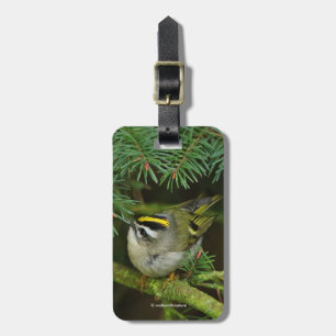 Étiquette À Bagage Le petit petit Kinglet mignon provoque un remue-mé