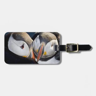 Étiquette À Bagage Le Puffin Atlantique, un oiseau marin pélagique