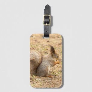 Étiquette À Bagage L'écureuil mignon mange une photo de noix