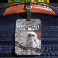 Les bagages de Hoo ? Chouette tachetée mexicaine