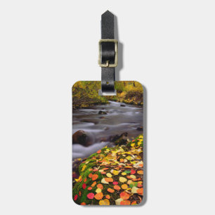 Étiquette À Bagage Les couleurs d'automne le long de McGee Creek