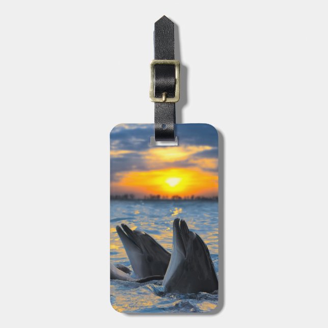 Étiquette À Bagage Les dauphins bouteille-flairés dans la lumière de (Devant Vertical)