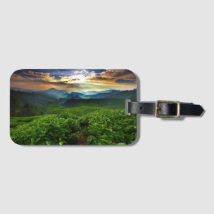 Étiquette À Bagage Lever de soleil au-dessus de ferme de thé