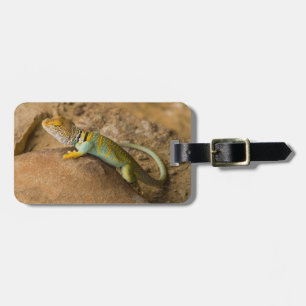 Étiquette À Bagage Lézard à collerette