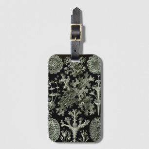 Étiquette À Bagage Lichen par Ernst Haeckel, Plantes de la nature vin