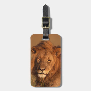 Étiquette À Bagage Lion