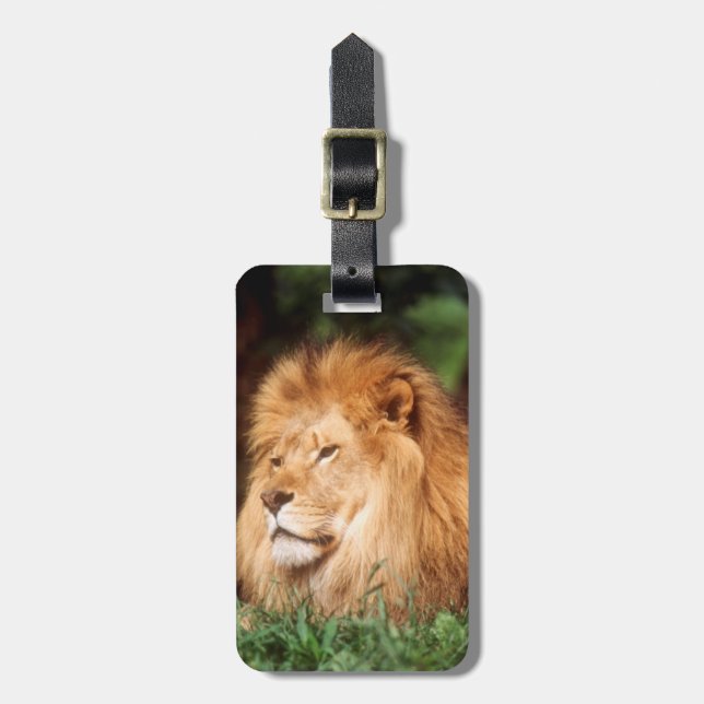 Étiquette À Bagage Lion adult (Devant Vertical)