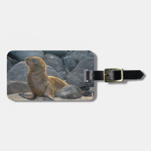 Étiquette À Bagage Lion de mer des Galapagos