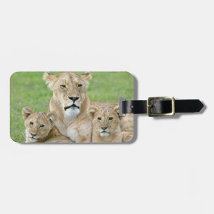 Étiquette À Bagage Lionne et deux lionceaux, Afrique orientale, Tanza
