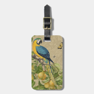 Étiquette À Bagage Macaw Blue Jaune Tropical Jungle Antique