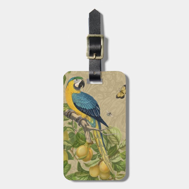 Étiquette À Bagage Macaw Blue Jaune Tropical Jungle Antique (Devant Vertical)