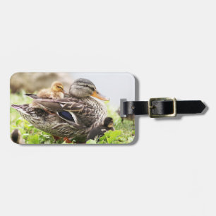 Étiquette À Bagage Mallard femelle entouré par des canetons