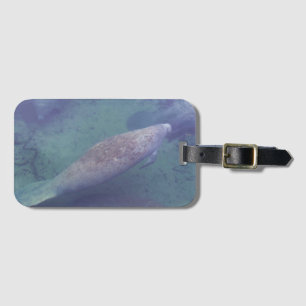 Étiquette À Bagage Manatee Florida Natation Photo Cute