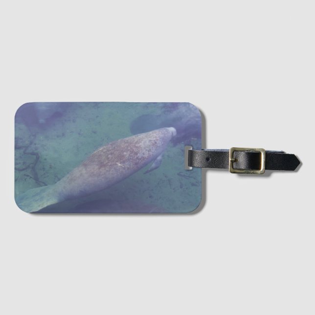 Étiquette À Bagage Manatee Florida Natation Photo Cute (Devant Horizontal)