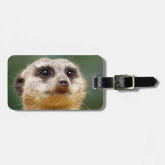 Étiquette À Bagage Meerkat20151001