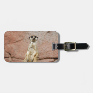 Étiquette À Bagage Meerkat Afrique Animal Pays Animaux Animaux Animau