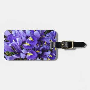 Étiquette À Bagage Miniature Bleu Irises Printemps Floral