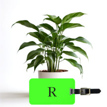 Monogramme couleur brillant vert néon Texte initia