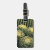 Motif de cactus