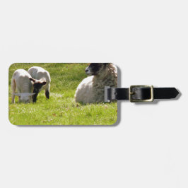 Étiquette À Bagage Moutons Avec Lampes De Ressort