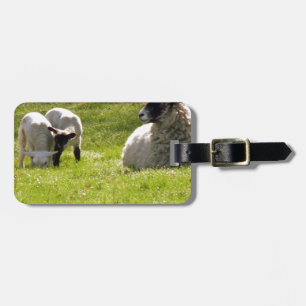 Étiquette À Bagage Moutons Avec Lampes De Ressort
