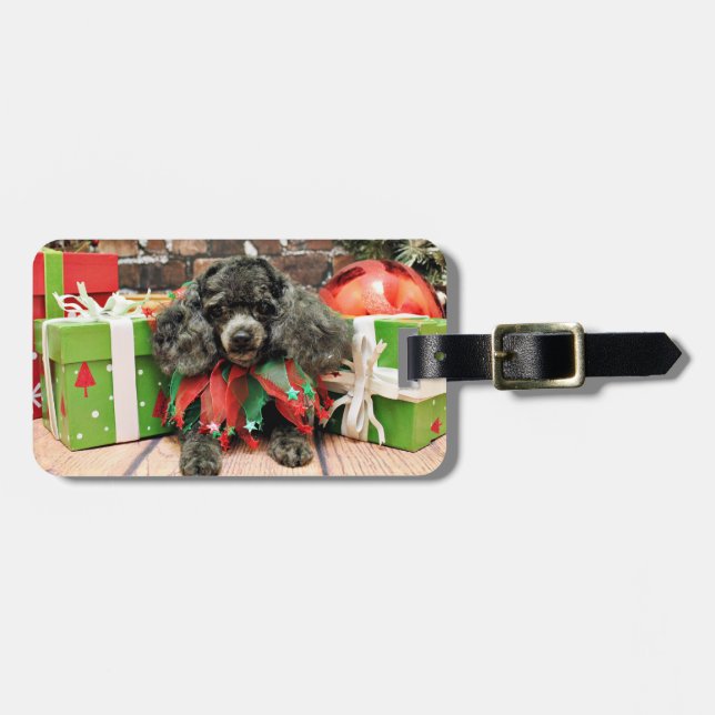 Étiquette À Bagage Noël - caniche de jouet - Annie (Devant horizontal)
