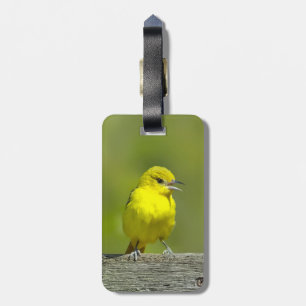 Étiquette À Bagage Orchard Oriole - Photo originale