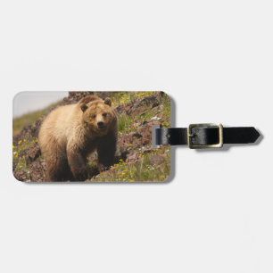Étiquette À Bagage ours