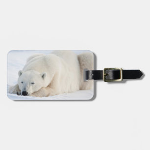 Étiquette À Bagage Ours polaire en hiver