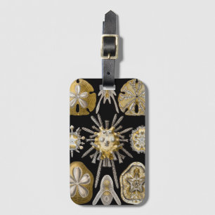 Étiquette À Bagage Oursins Anciens Dollars de Sable par Ernst Haeckel