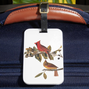 Étiquette À Bagage Paire de cardinaux d'Audubon dans un arbre d'amand