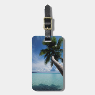 Étiquette À Bagage Palaos, Micronésie, Palmier au lagon de Palaos