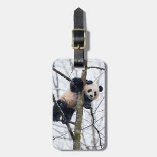 Étiquette À Bagage Panda bébé dans l'arbre