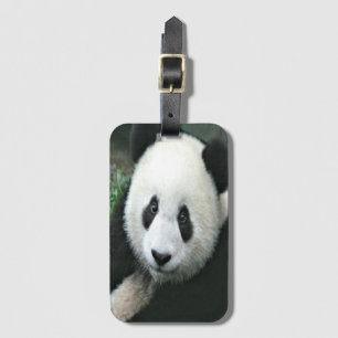 Étiquette À Bagage Panda géant dans une herbe verte douce