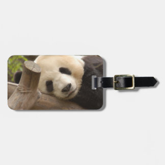 Étiquette À Bagage PandaSD010