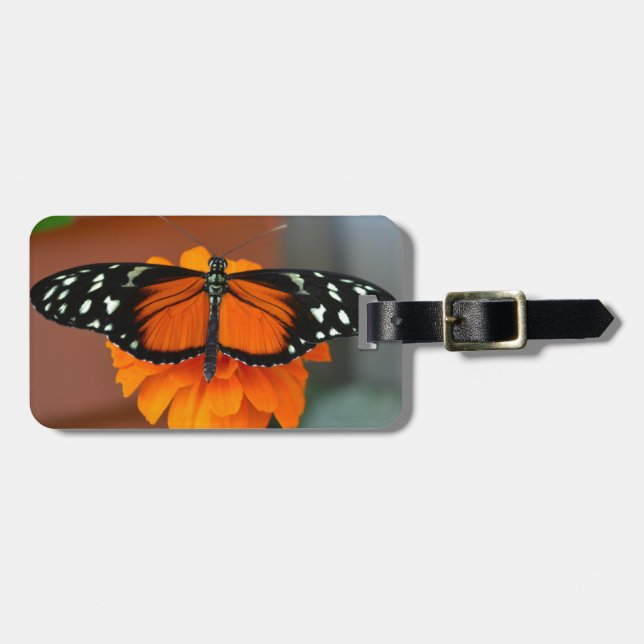 Étiquette À Bagage Papillon à long rayon d'Hecale (Devant horizontal)