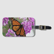 Papillon Monarque Jouer aux cartes