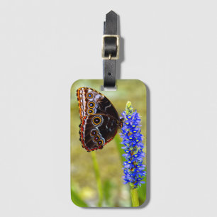 Étiquette À Bagage Papillon morpho bleu sur une orchidée de marais