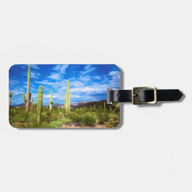 Étiquette À Bagage Paysage de cactus du désert, Arizona (Devant horizontal)