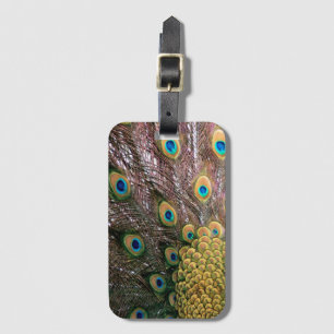 Étiquette À Bagage Peacock Feathers Emerald Green et Gold