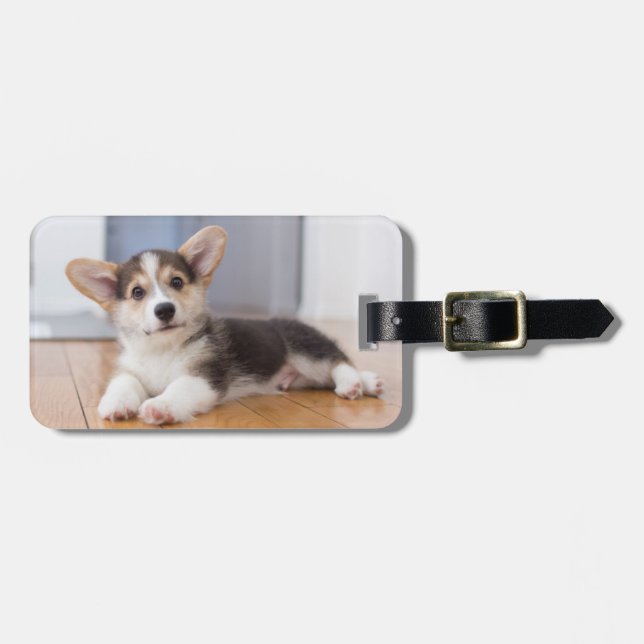 Étiquette À Bagage Pembroke Welsh Corgi Puppy (Devant horizontal)