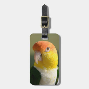Étiquette À Bagage Perroquet de caïque gonflé par blanc