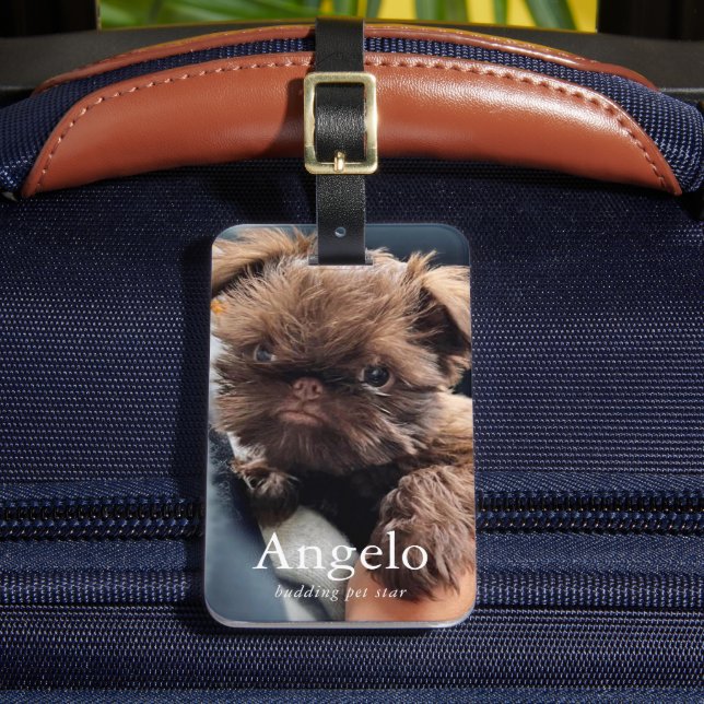 Étiquette À Bagage Personnalisé Nouveau Chien Chien 2 Chien Chien 2 (Insitu Rectoal 2)