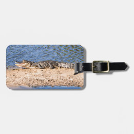 Étiquette À Bagage Personnaliser l'Alligator sunning au lac